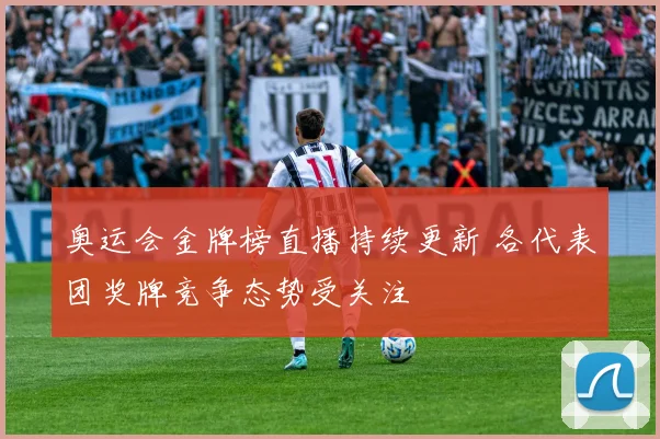 奥运会金牌榜直播持续更新 各代表团奖牌竞争态势受关注